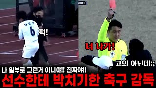 선수한테 박치기하고 퇴장당한 축구 감독 ㅋㅋ 레전드