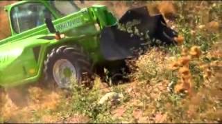 29 10 43 Merlo Telehandlers in action