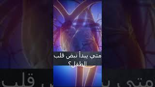 متي يبدء نبض قلب الجنين في العمل   #shorts #shortvideo #طبيبك_في_بيتك   #shorts