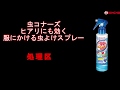 ヒアリに対する基礎効力試験　KINCHO　虫コナーズ ヒアリにも効く 服にかける虫よけスプレー