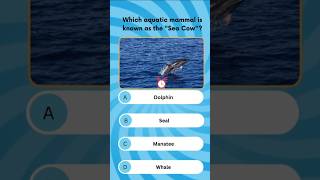 Fun Aquatic Mammals GK Quiz 🐬🌊 #GKQuiz #AquaticAnimals #gkandquizplace #shortsfeed  #YouTubeShorts