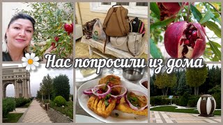 #влог🌼Остался осадок/Гянджа,ты меня поразила/Вот это размах!!!