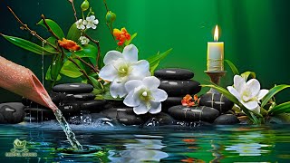 Relaxing Zen Music - Meditation Music, Peaceful Music, Bamboo,Relaxing Music,Nature Sounds, Spa, BGM