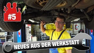 Die Autodoktoren - Neues aus der Werkstatt #5 - Bremsflüssigkeit / VW T5 / Skoda Roomster