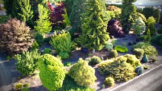 The Flora Wonder Arboretum! Buchholz Nursery Garden Tour Part 2! Shocking Japanese Maples & Conifers