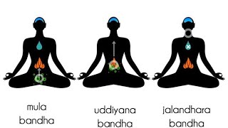 Bandhas | Mudras | Kriyas | Benifit of yoga | Physical Education | Yoga Education