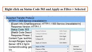 Troubleshooting HTTP 503 Issues