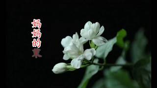 送给妈妈的茉莉花  演唱 溪水清幽