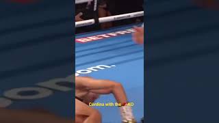 OMG 😳 Joe Cordina devastating knockout of Ogawa. #shorts #boxing #knockout #joecordina 😱