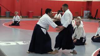 Birankai Aikido Summer Camp 2016 - R. Savoca Class 3