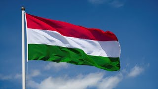 Hungarian flag using Python's Turtle #51