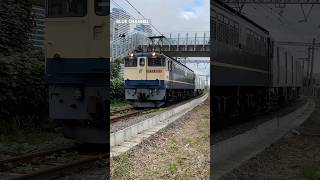 (甲種輸送) 2024/11/17 9597レ EF65 2083 + 市営地下鉄10000形 #Shorts