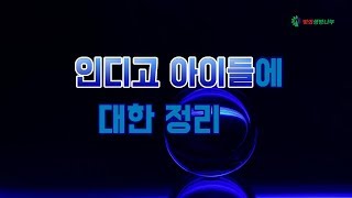 인디고 아이들에 대한 정리