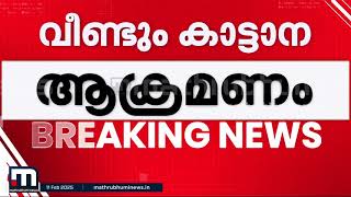 വീണ്ടും ജീവനെടുത്ത് കാട്ടാന! വയനാട്ടിൽ യുവാവിന്റെ മരണം കടയിൽ നിന്നും മടങ്ങവെ!! | Wayanad | Elephant