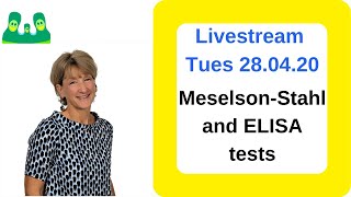 Explaining the Meselson-Stahl experiment and the ELISA test (AQA only)