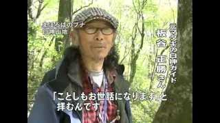 20100513 名木発見vol,3白神山地