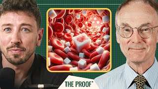 Elevated Blood Sugar: A Deeper Look into Its Health Effects | Roy Taylor | The Proof Clips EP #287