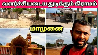 🛖வளர்ச்சியடைய துடிக்கும் மாமுனை கிராமம்🛖|Mamunya is eager to grow