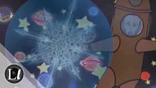 Ernst Haeckel l radiolarians | A Biomedia Meltdown