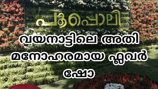 വയനാട്ടിലെ മനോഹരമായ ഫ്ലവർ ഷോ | Flower show at ambalavayal, wayanad, kerala, india