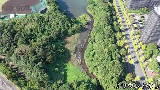 ドローン空撮映像・横浜市・長浜公園・チルトアップ