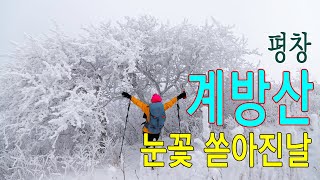 눈꽃 쏟아진 평창 계방산/ 아름다운 계방산 설경산행 #계방산설경 #계방산상고대  #계방산