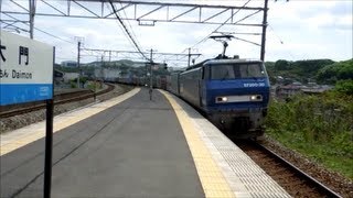 JR貨物 EF200-20号機[吹](代走) 貨物列車1051レ【おしい!編成】