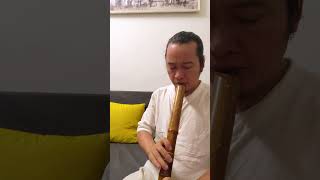 观呼息 尺八其实器也#尺八 #乐器演奏 #演奏 #shakuhachi #乐器演奏 #音樂