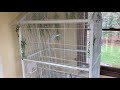 prevue f030 aviary flight cage review