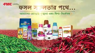 FMC Crop Solutions for Chilli | A Walkthrough in Bengali