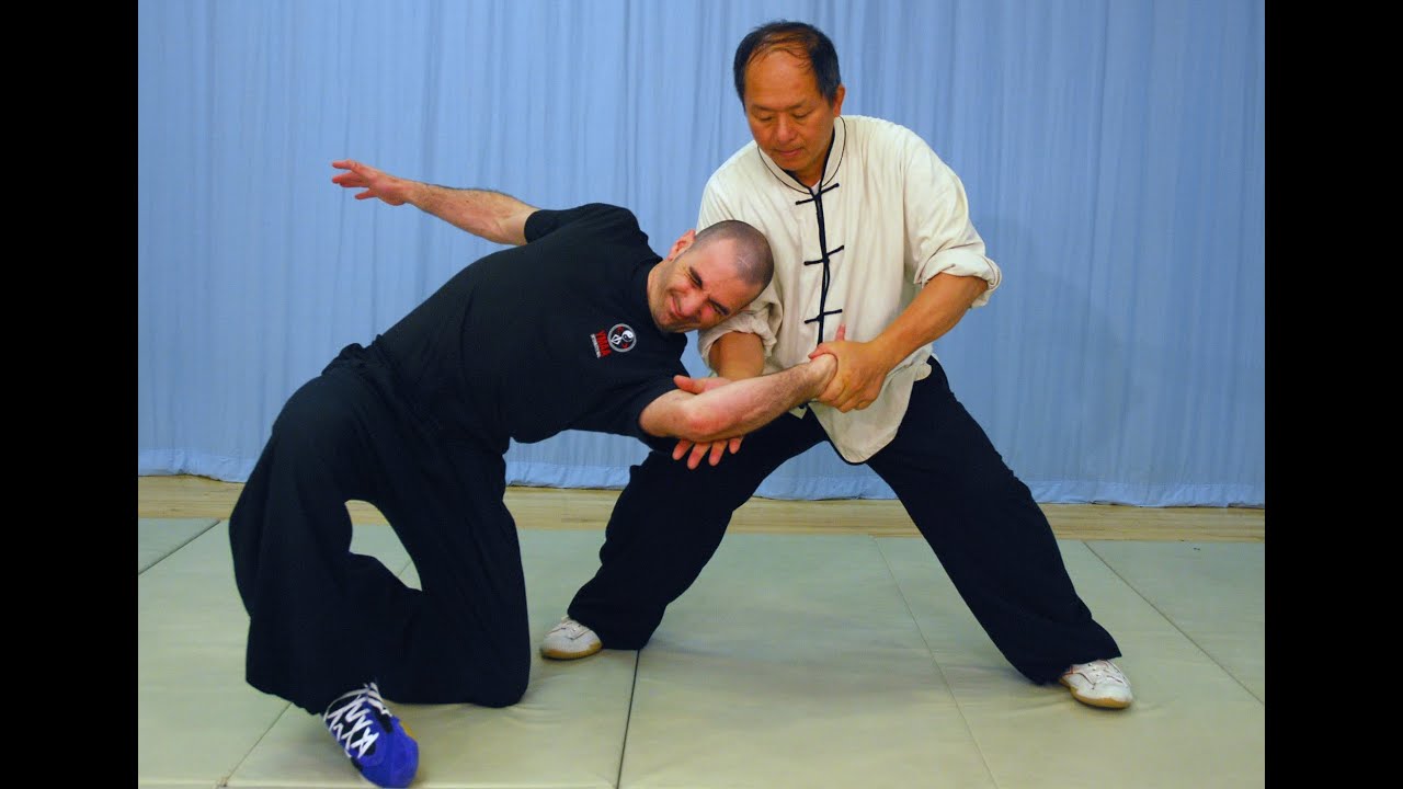 Tai Chi Fighting! Taijiquan Martial Applications (Yang-style 37 ...