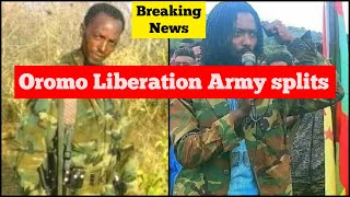 Breaking News: Oromo Liberation Army (OLA) splits