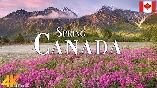 Spring Canada 4K Ultra HD • Stunning Footage Canada, Scenic Relaxation Film with Calming Music.