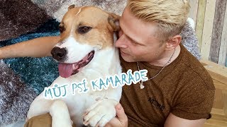 Jarek Šimek - Můj psí kamaráde (Oficiální hudební video)