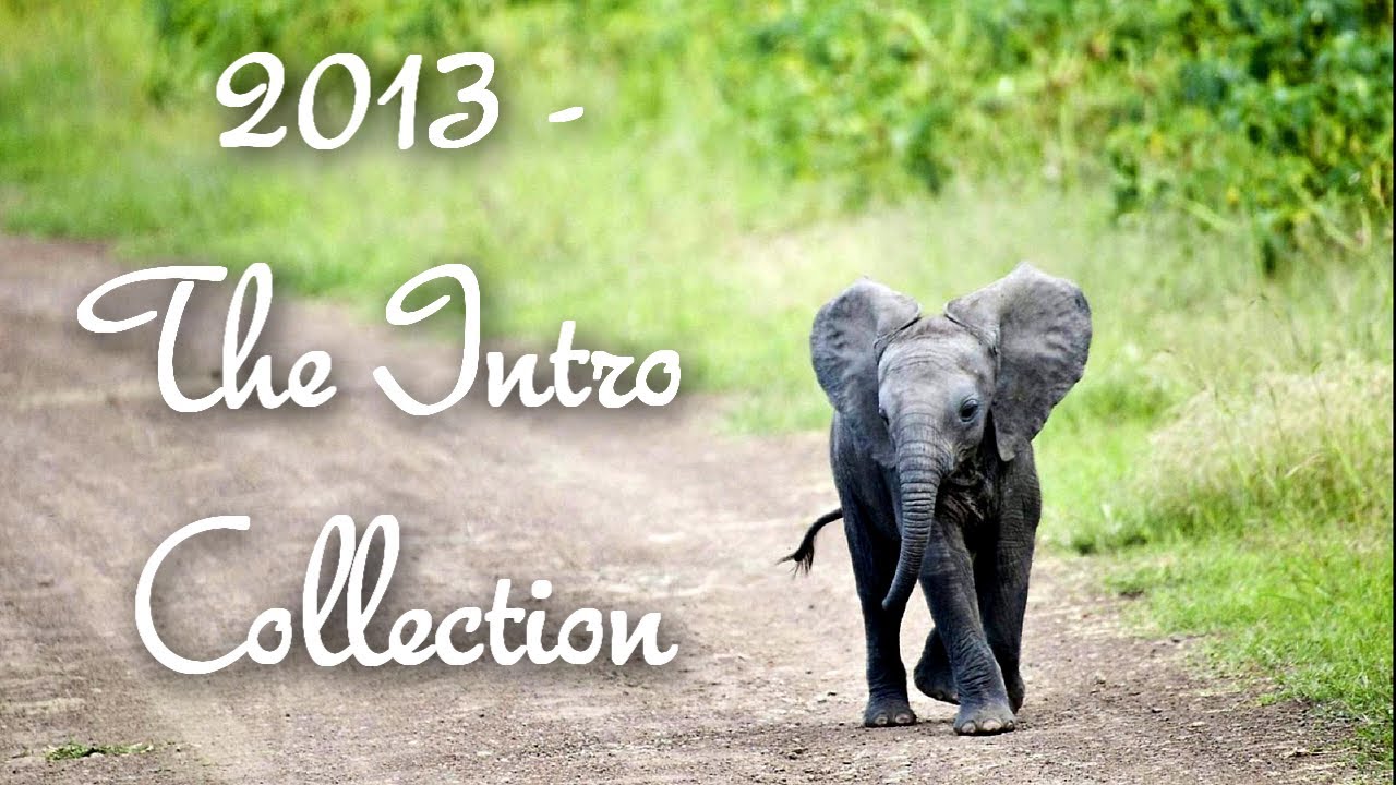 2013 The Intro Collection Youtube