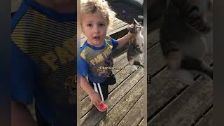 Boy Mistakes Cat for 'Dead Raccoon'! 😂 Reaction is Gold!