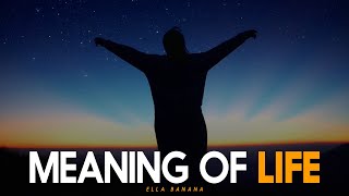 THE MEANING OF LIFE - Motivational Video