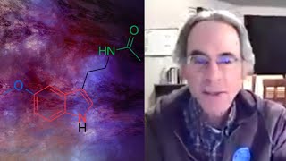 Is melatonin a psychedelic? with Rick Strassman | Living Mirrors #40 clips