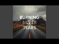 Chasing Velvet Fire