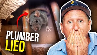 Other plumbers lie causes massive problems...