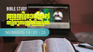 വാക്കുകൊണ്ട് വധിക്കരുത് |  BIBLE STUDY- സംഖ്യാപുസ്തകം അദ്ധ്യായം 14 : 01-25 |അതിരാവിലെ തിരുസന്നിധിയിൽ