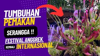 TANAMAN PEMAKAN SERANGGA, Solusi Bebas Serangga Dirumah?