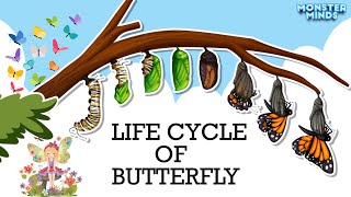 Metamorphosis Unveiled: The Fascinating Lifecycle of a Butterfly | Monster Minds 🌿🐛🦋