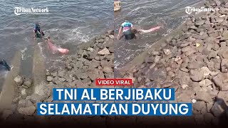Viral Video Detik detik TNI AL Berjibaku Selamatkan Ikan Duyung