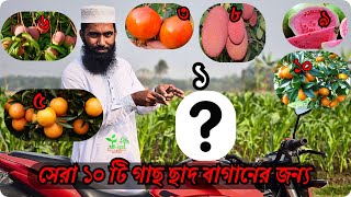 ছাঁদ বাগানের জন্য সেরা ১০ টি গাছ যা আপনার ছাঁদ বাগানকে করে তুলবে সুন্দর ও আকর্ষণীয়।সেরা গাছ কোনটা ?