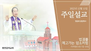 22.12.11 I 사무엘상 6:7-16  I 법궤를 메고 가는 암소처럼