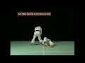 waza kyu v shorinji kempo techniques 少林寺拳法