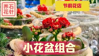 十一月节前花店：节日气氛的组合小花盆 - 价格、养护