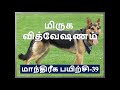 மிருக வித்வேஷணம் மூல மந்திர பிரயோக முறைகள் videshan mantra tantra in tamil powerful videshan