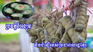 ប្រវត្តិនំអន្សម និងជំនឿរបស់ប្រជាពលរដ្ឋខ្មែរ